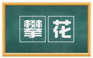 攀花