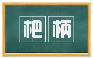 杷柄