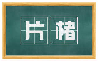片楮