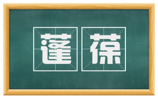 蓬葆