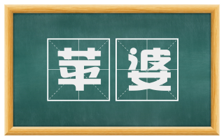 苹婆