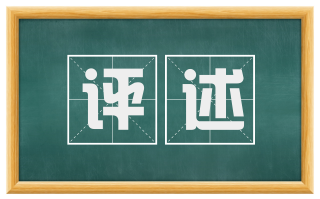 评述