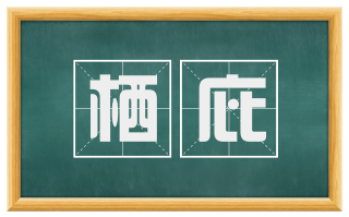 栖庇