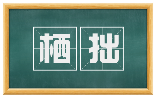 栖拙