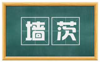 墙茨