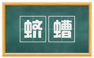 蛴螬