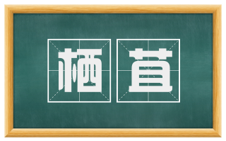 栖苴