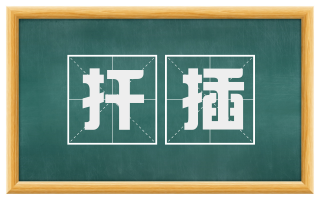 扦插