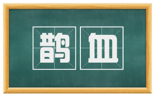 鹊血