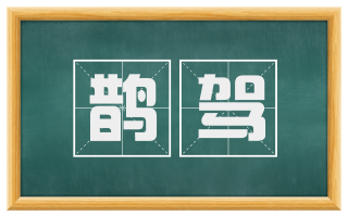 鹊驾