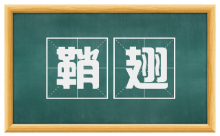 鞘翅