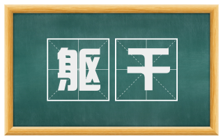 躯干