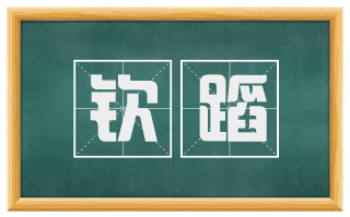 钦蹈
