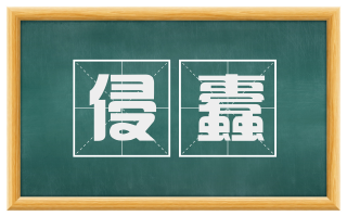 侵蠹