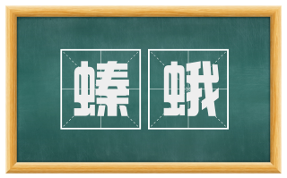 螓蛾