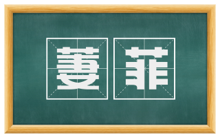 萋菲