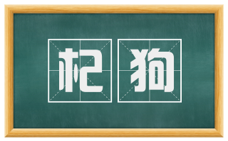 杞狗