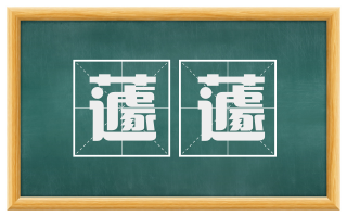 蘧蘧