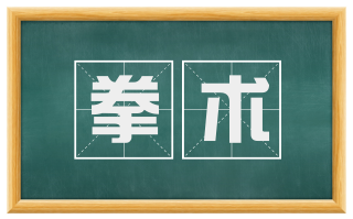 拳术