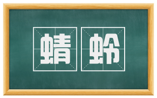 蜻蛉