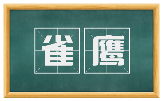 雀鹰