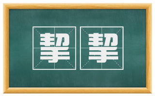 挈挈