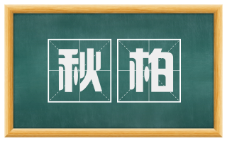 秋柏