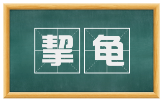 挈龟
