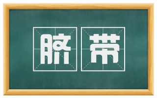 脐带
