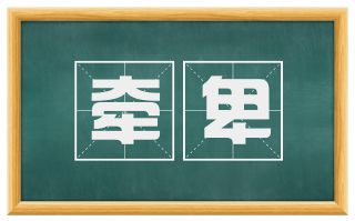牵卑