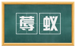 蓐蚁
