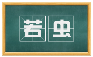 若虫