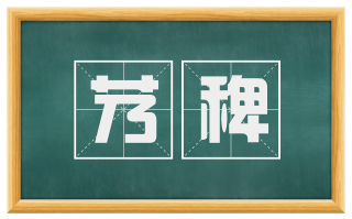 艿稗