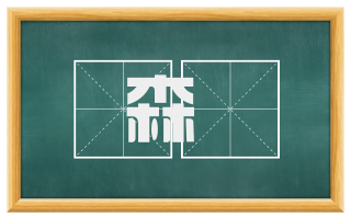 森磢
