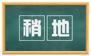 稍地