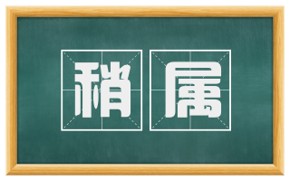 稍属