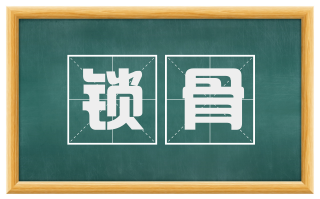 锁骨