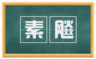 素飚