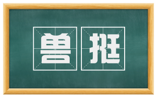 兽挺