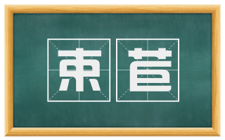 束苣