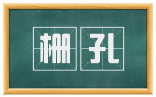栅孔