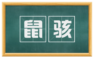 鼠骇