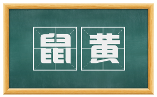 鼠黄