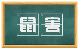 鼠害
