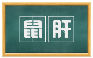 鼠肝