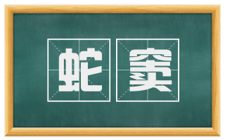 蛇窦
