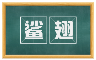 鲨翅