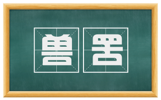 兽罟
