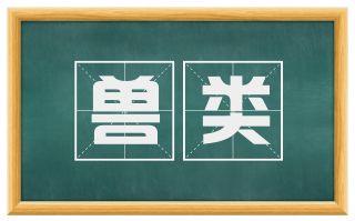 兽类