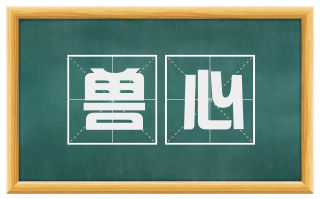 兽心